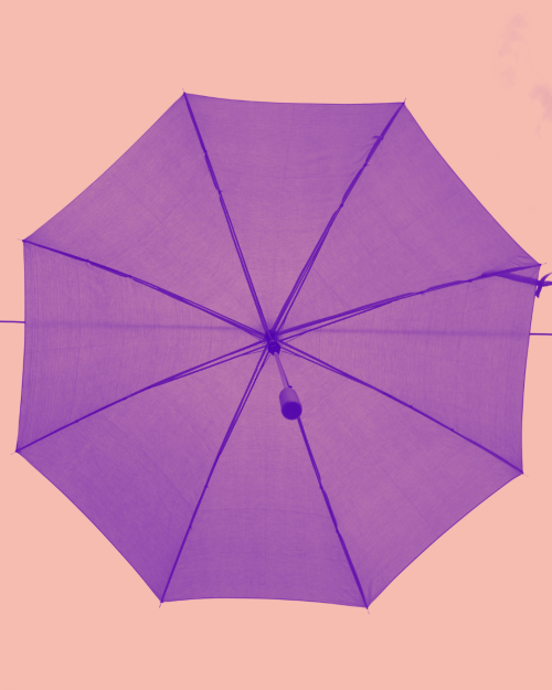 An open umbrella